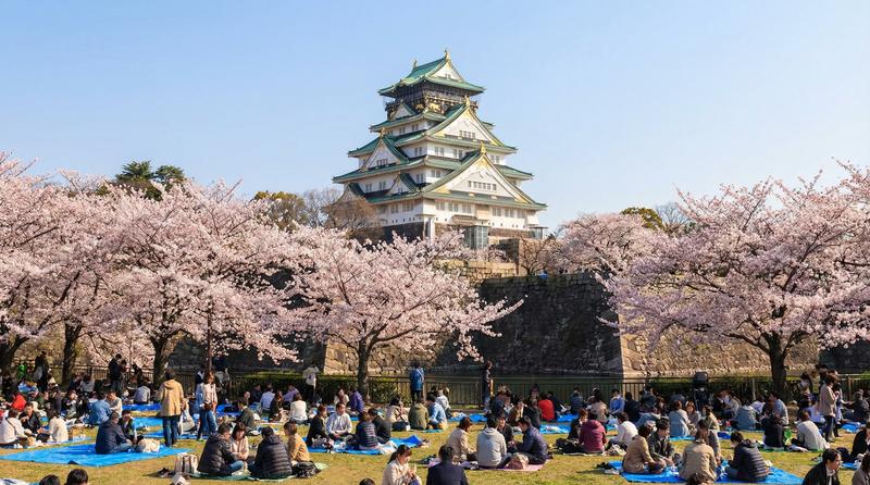 大阪城與櫻花