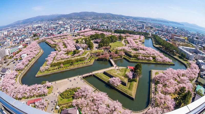 北海道五稜郭公園櫻花