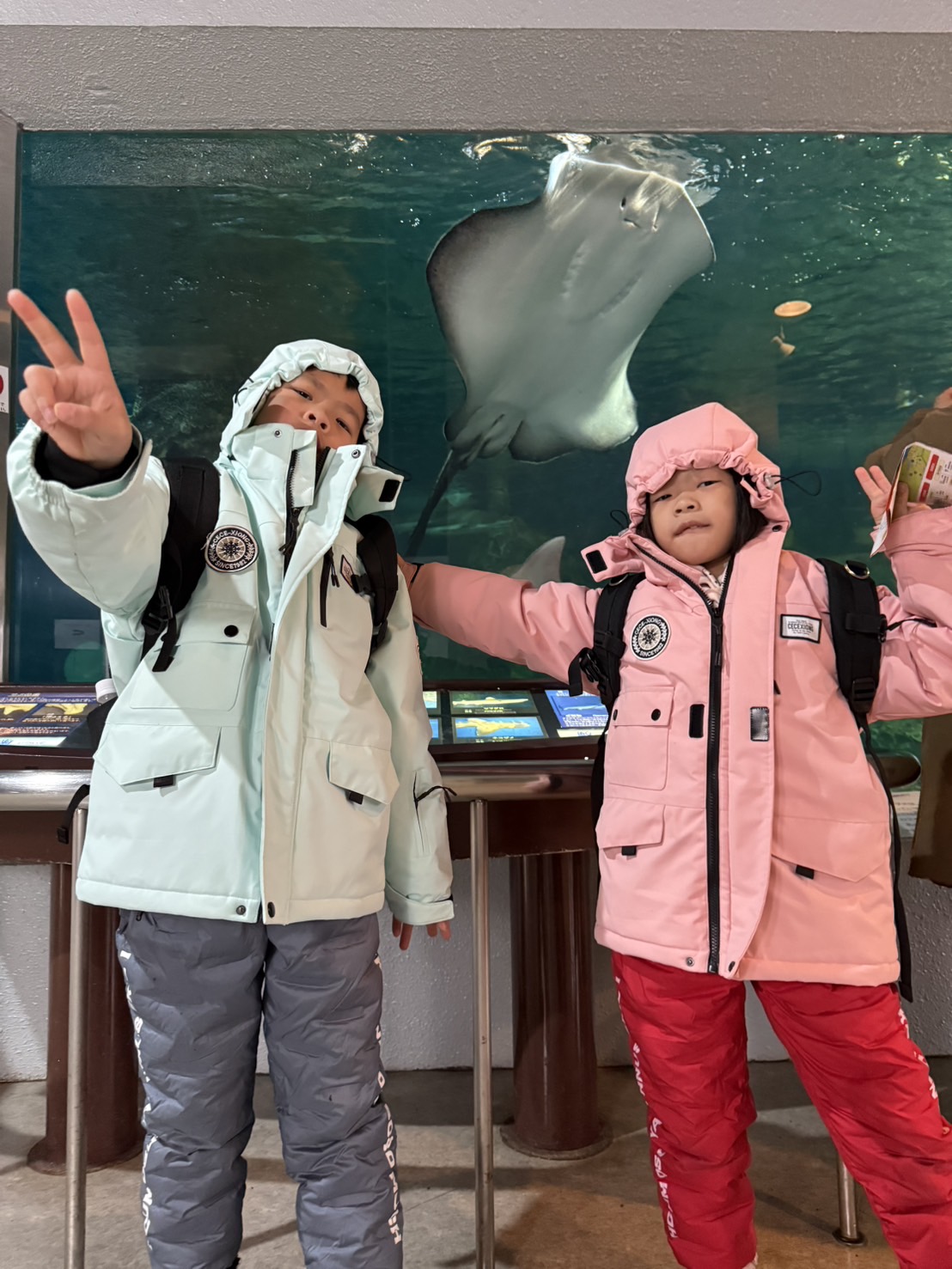 孩子們在水族館與魟魚的合照