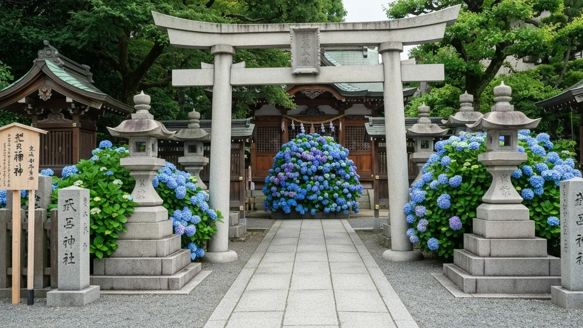 東京6月繡球花季：文京白山神社、高幡不動尊5大花海秘境與雨天拍照攻略！ - 文京白山神社：花與祭典共舞