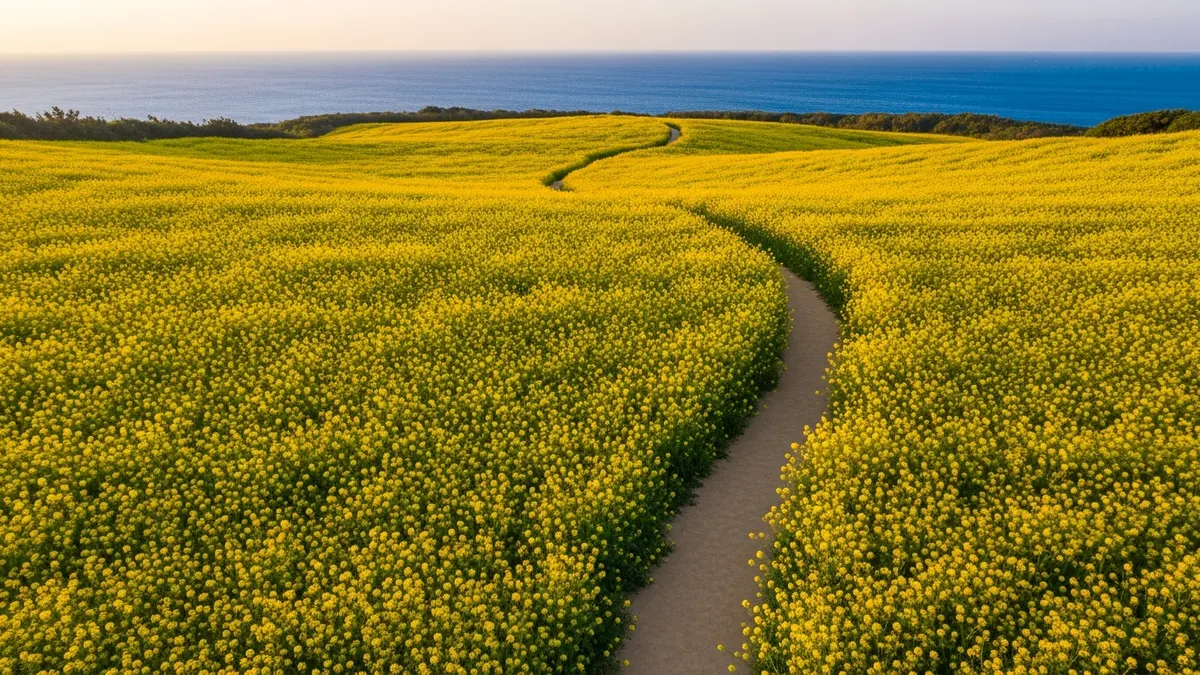 5天4夜深度賞花路線